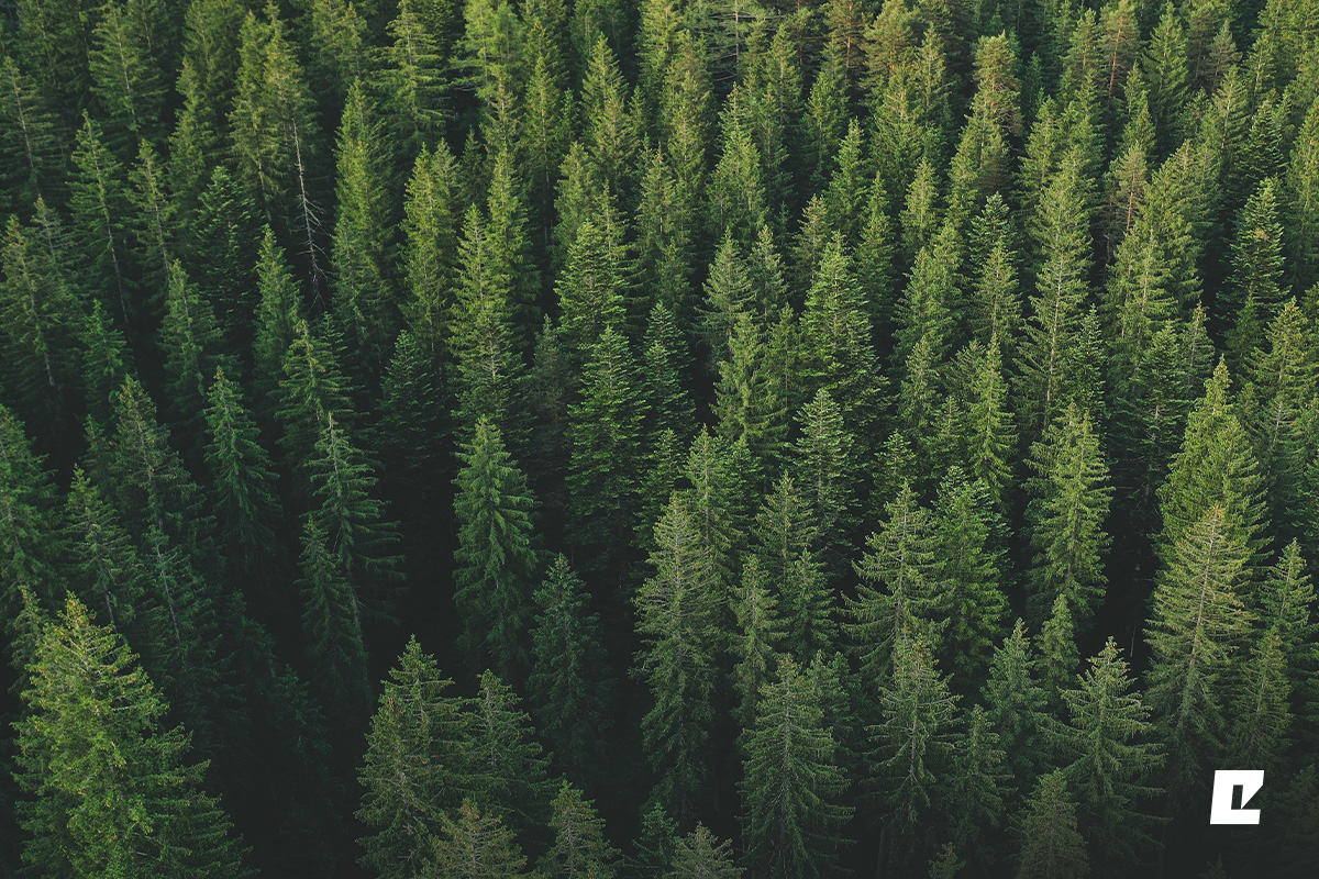 Eko-Okna con certificato FSC™. Investite consapevolmente nel futuro